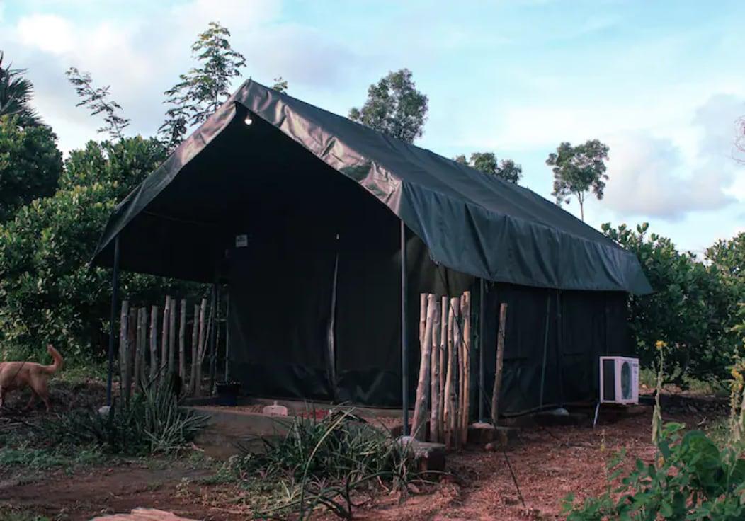 Beyond Homes - 'A Glamping Experience'
