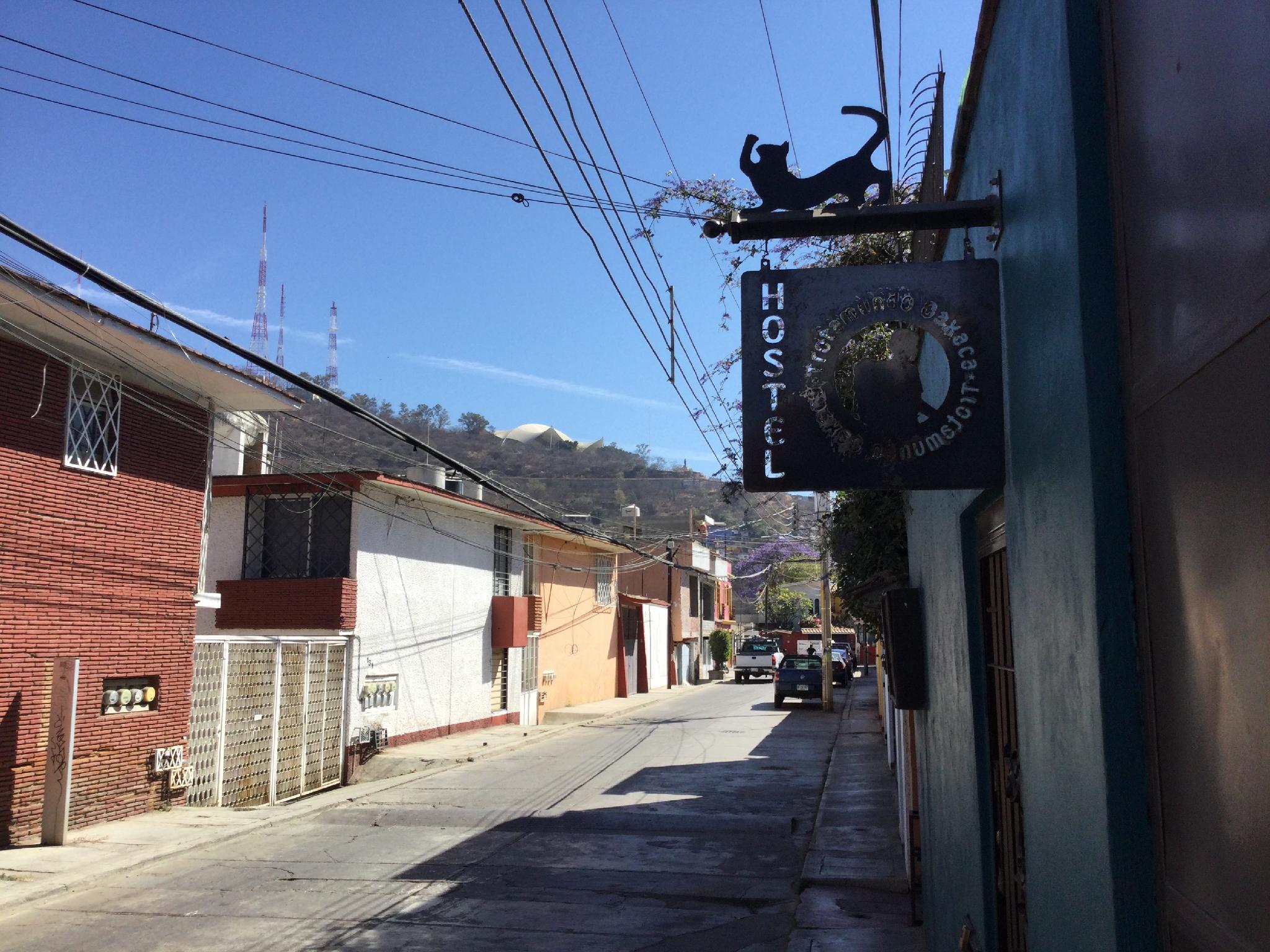 Trotamundo Oaxaca Hostel