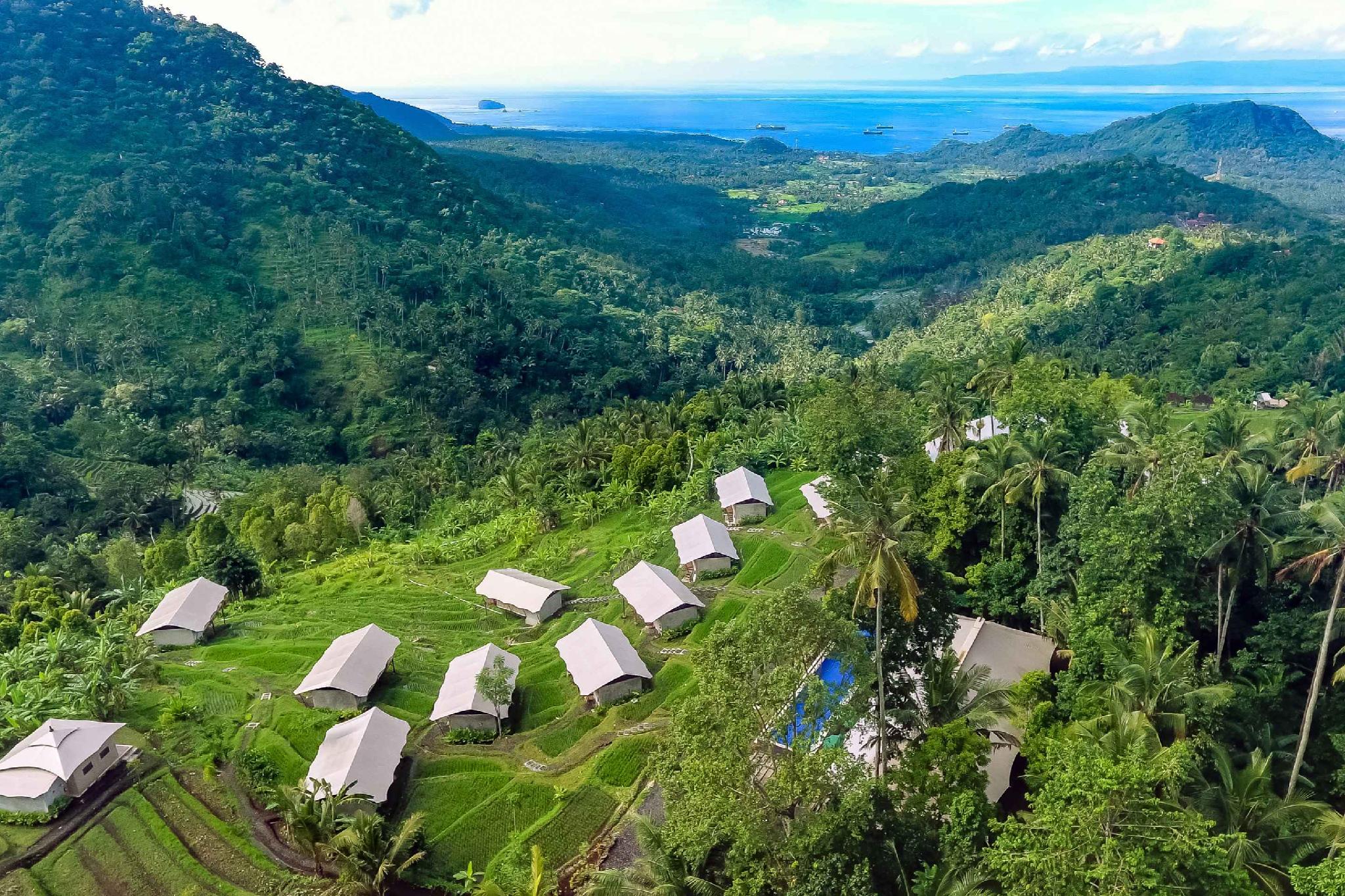 Kaura Bali