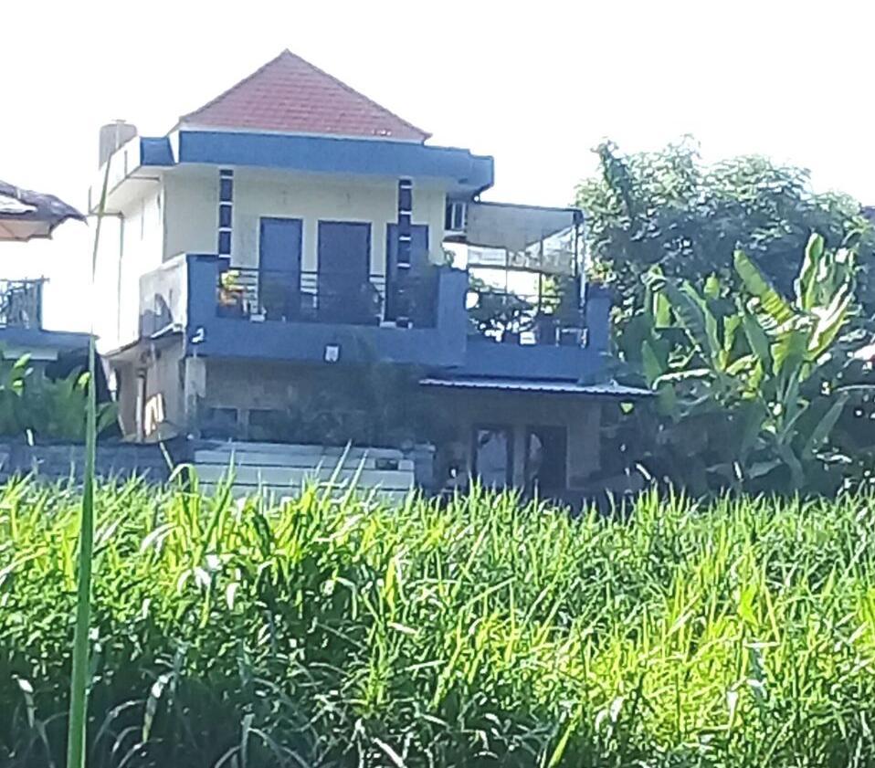 Uda House Saba Beach
