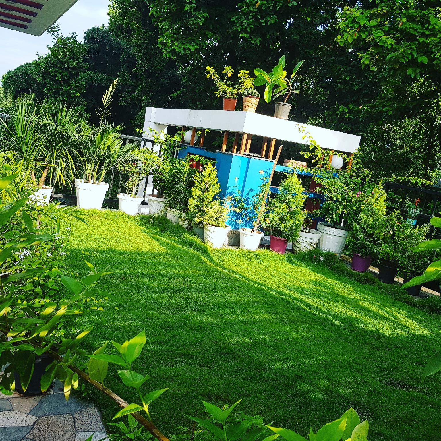 Forest Inn Homestay