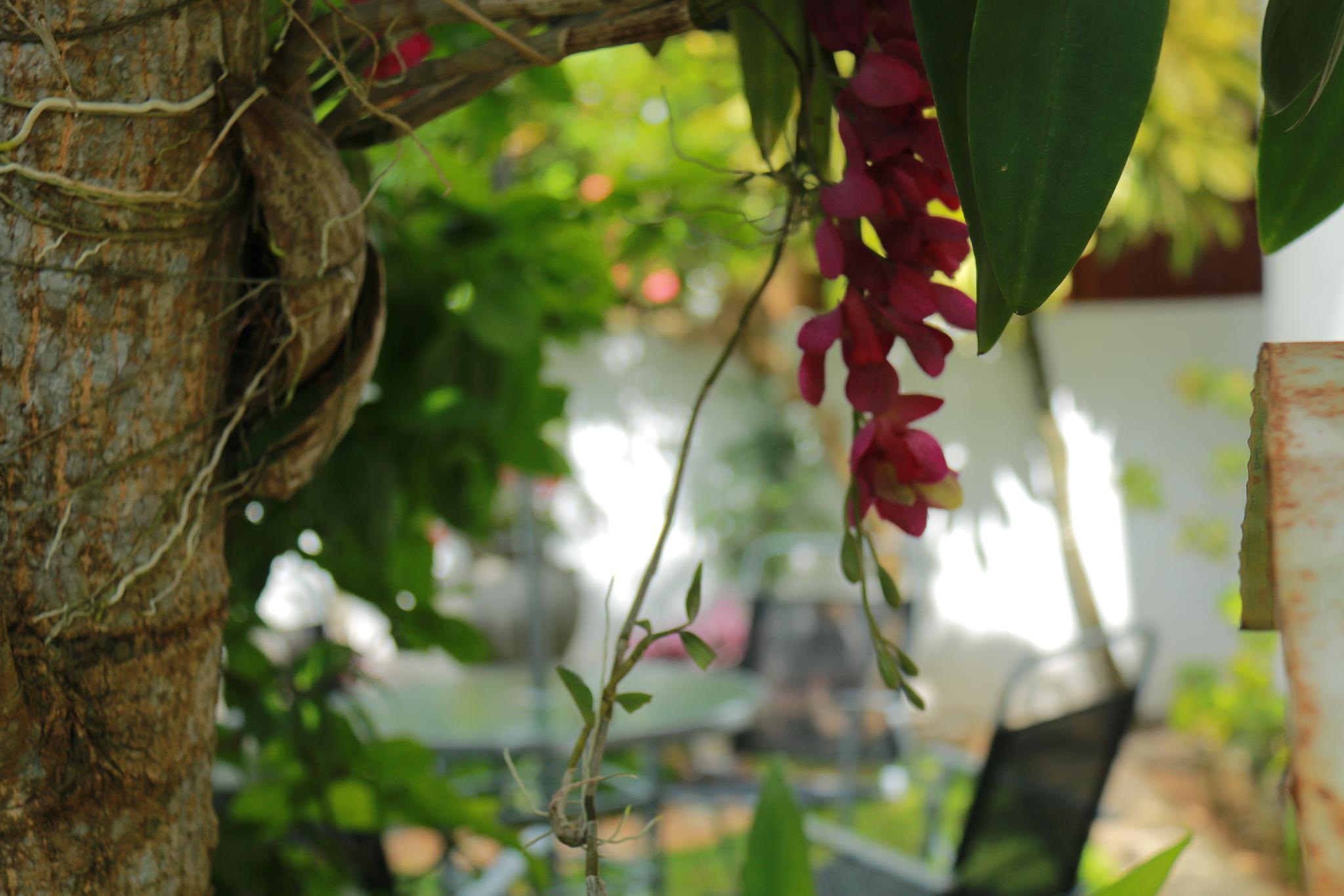 Suramya Villa - Luxurious Apartment In Galle