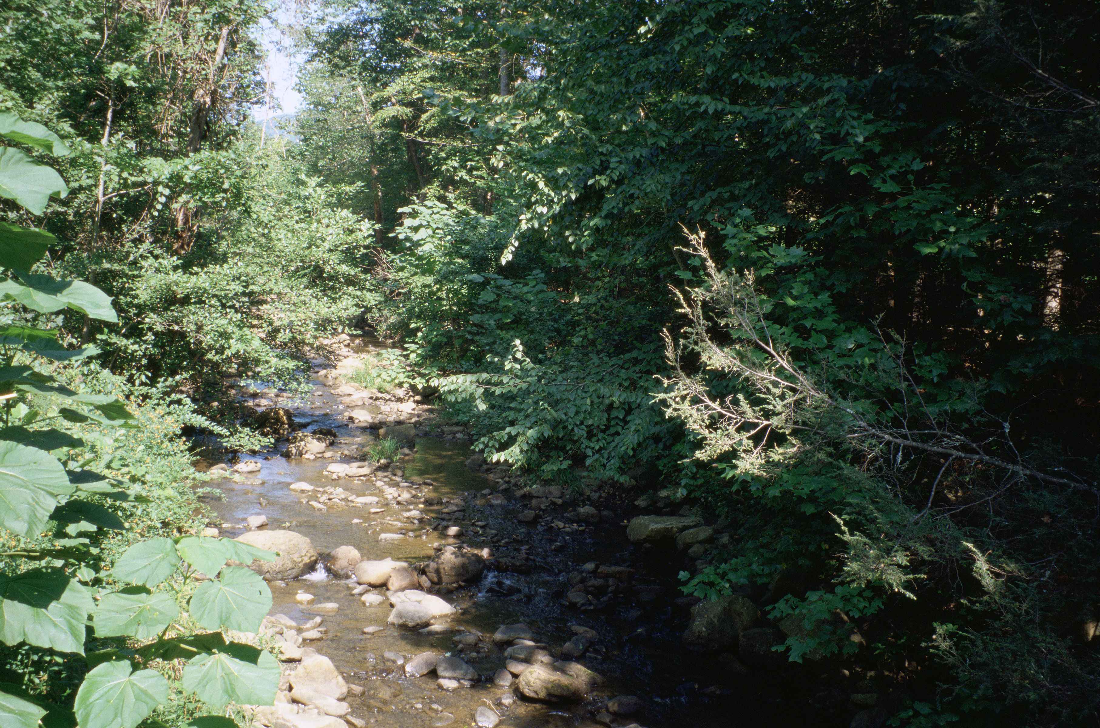 Ferienwohnungen Warm Springs
