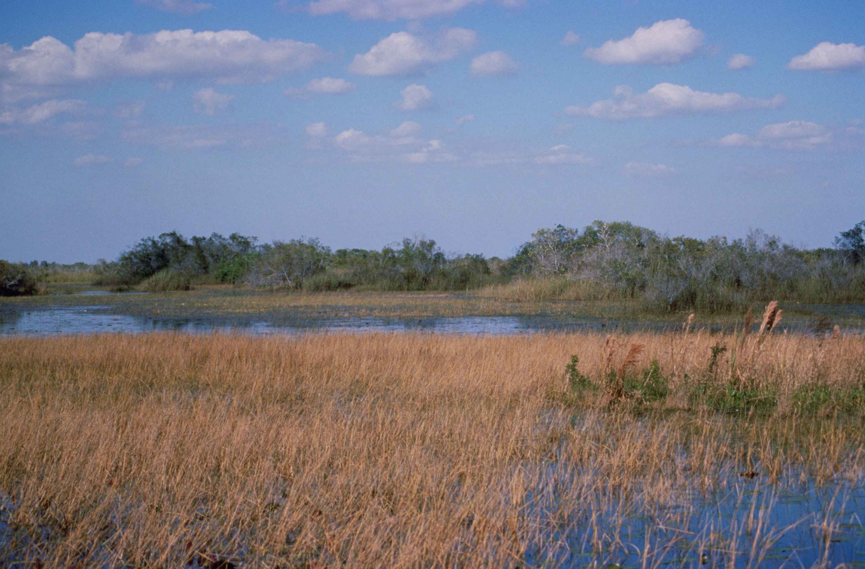 Holiday rentals Loxahatchee