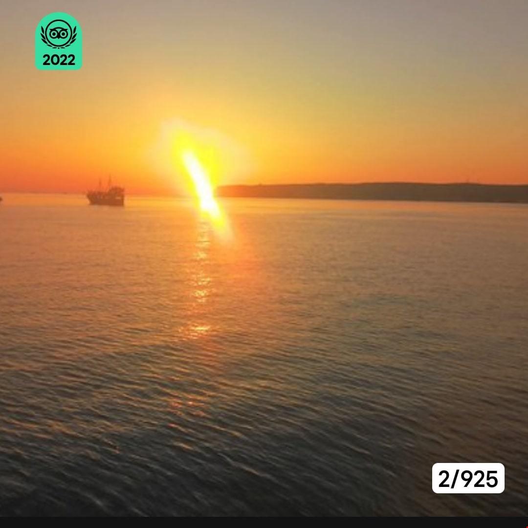 System.Collections.Generic.List`1[BluePillow.Application.SearchEngine.Dto.PhotoDto]?.ElementAt(3)?.Caption