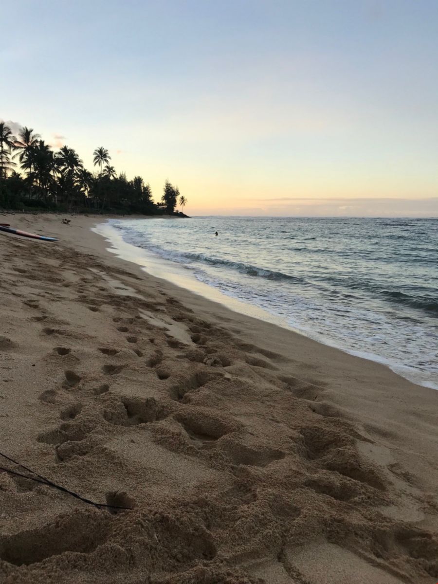 System.Collections.Generic.List`1[BluePillow.Application.SearchEngine.Dto.PhotoDto]?.ElementAt(0)?.Caption