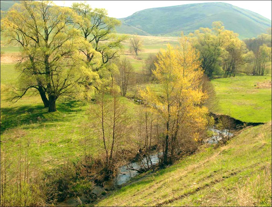 Holiday rentals Orenburg