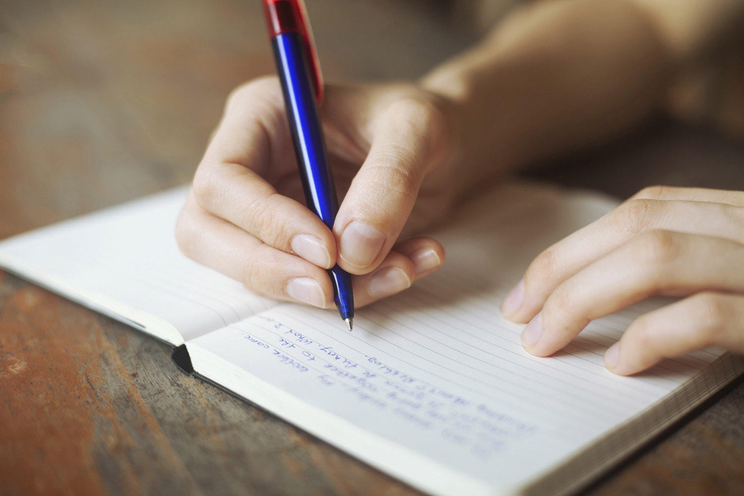 Case Vacanze Essay