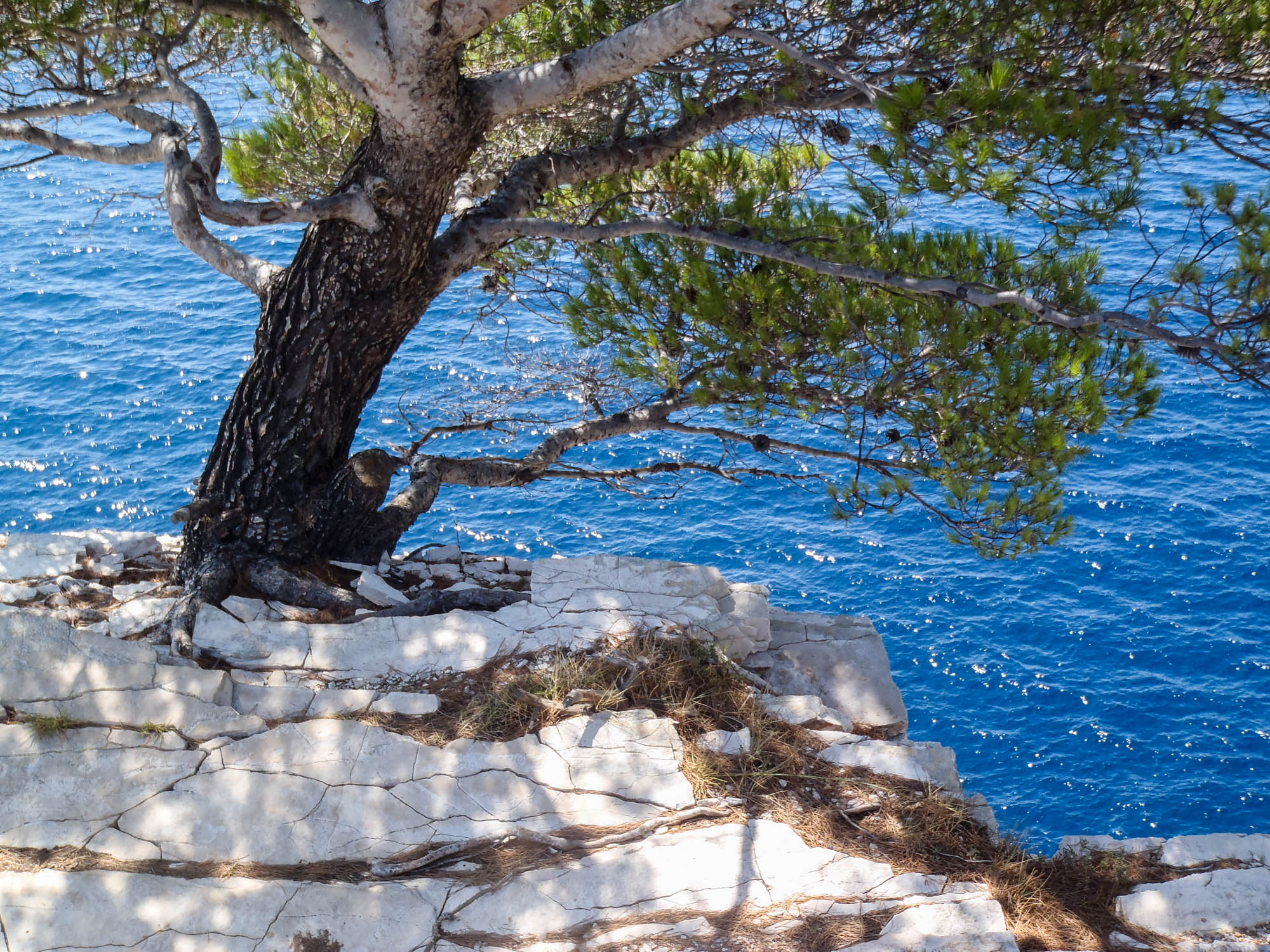 Holiday rentals Šibenik