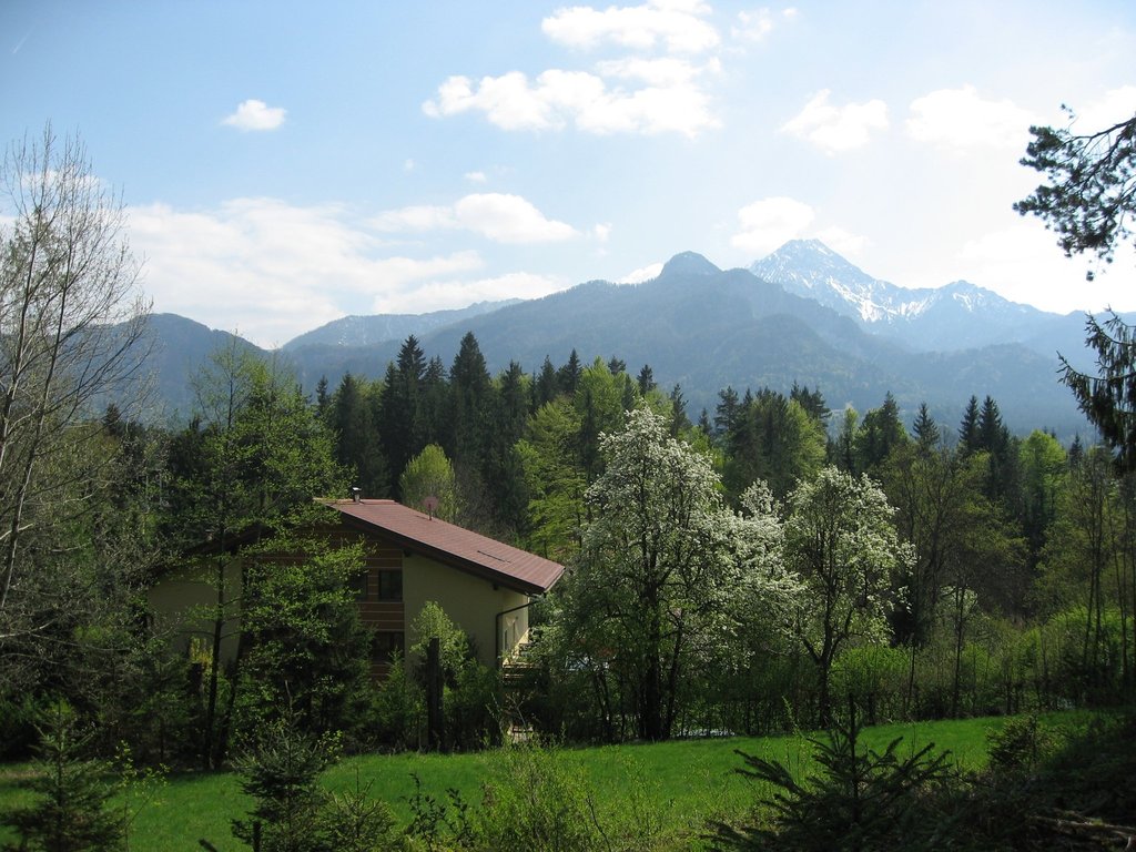 Schreier Pension