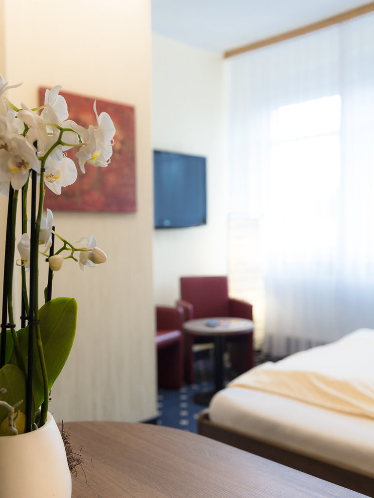Zum Schwan AmbientHotel