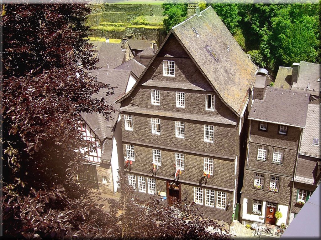 Graf  Rolshausen