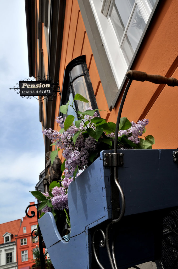 Altstadt-Moench Pension