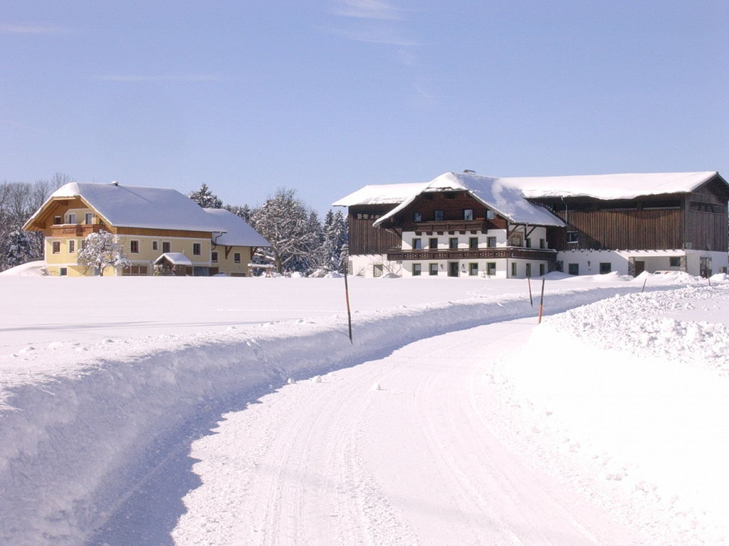 Bauernhof Roehrmooserhof
