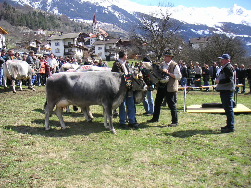 Bauernhof Am Moeslehof