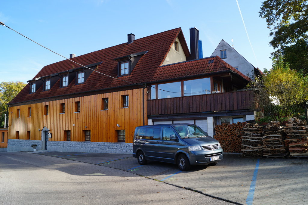 Gelber Loewe