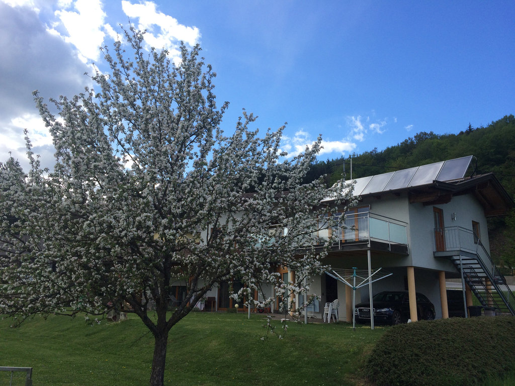 Appartement Anlage Landhaus Scherling