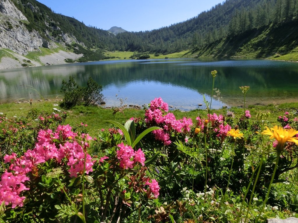 Wander- und Sporthotel Tauplitzalm