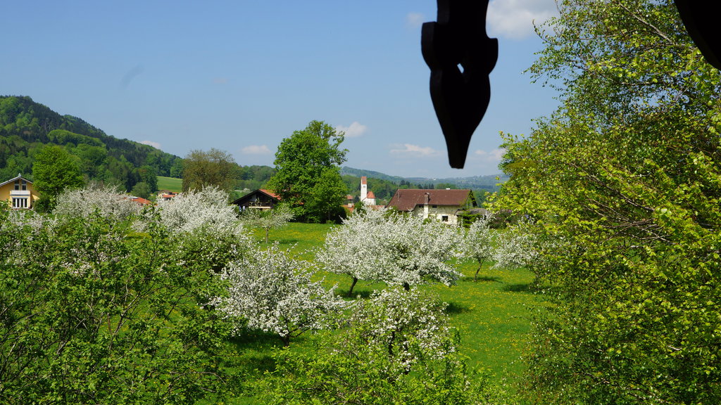 Funk Gaestehaus