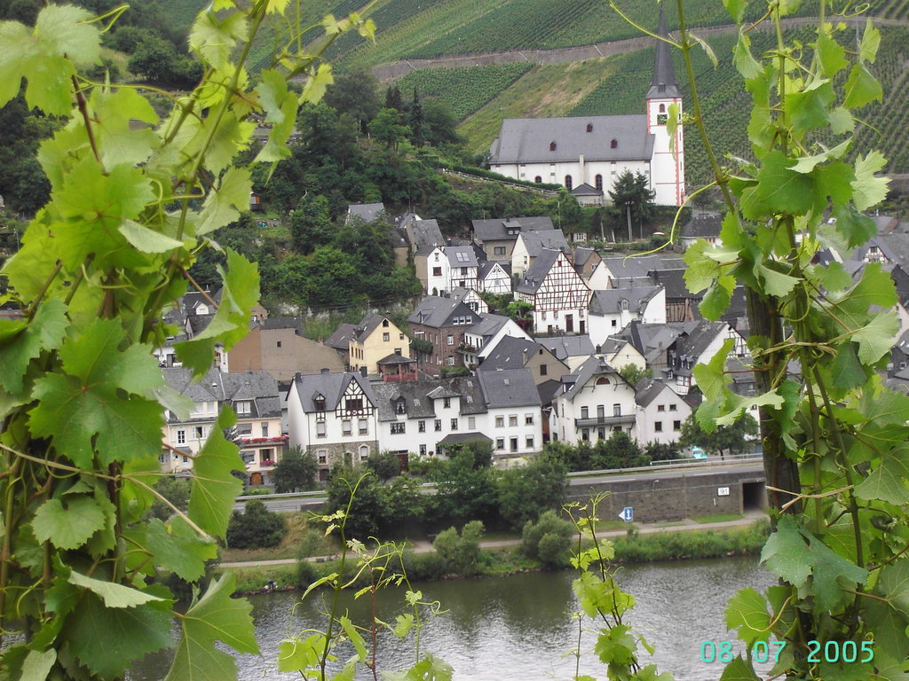 Weingut - Gaestehaus Nalbach
