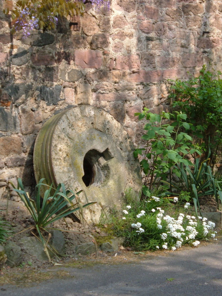 Fuchs sche Muehle