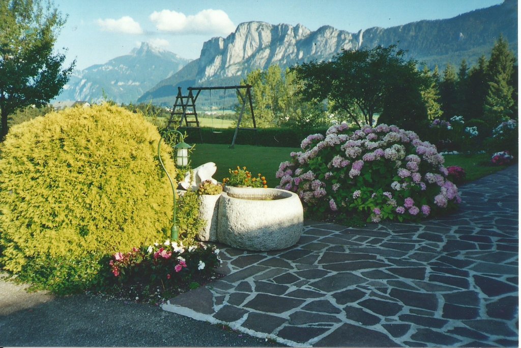 Pichler 4 Edelweiss
