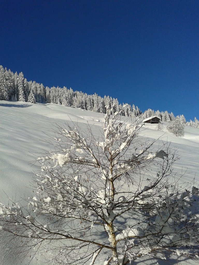 Alpenblick