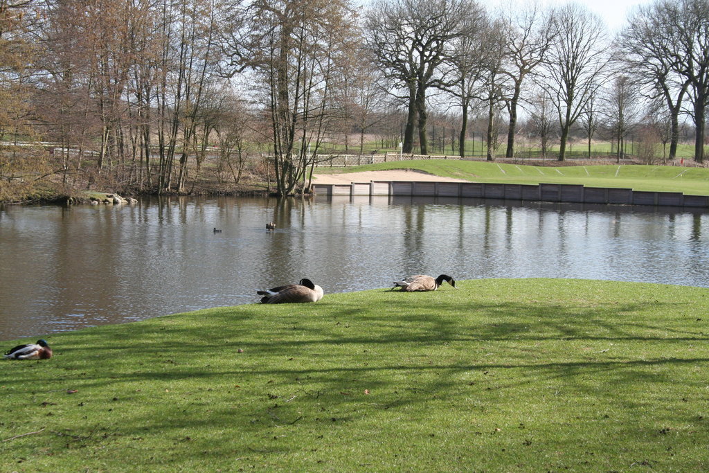 Schloss Westerholt