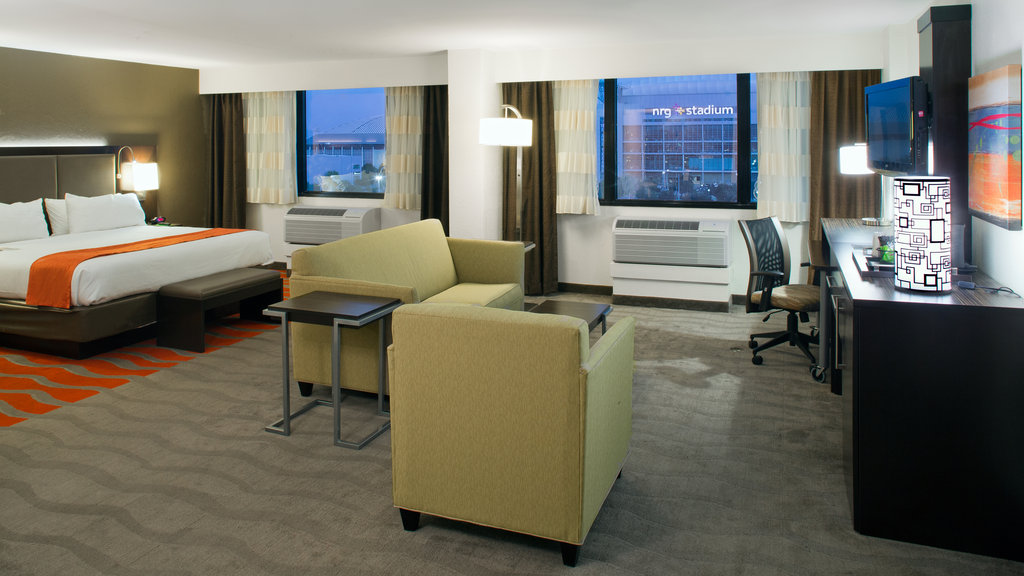 Holiday Inn HOUSTON S - NRG AREA - MED CTR