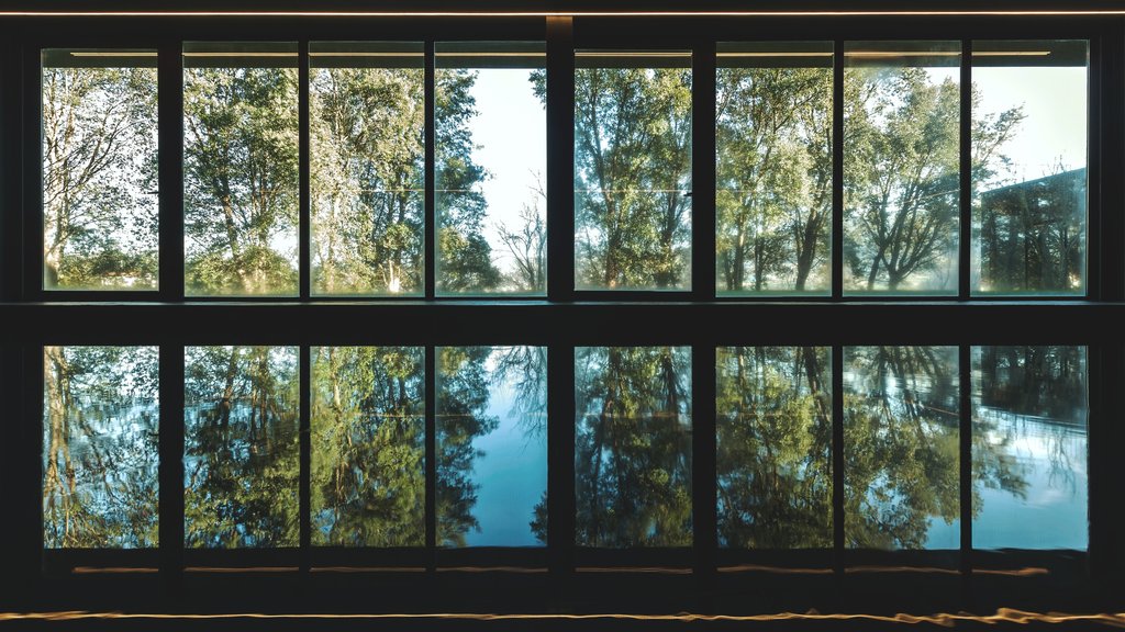 DOURO PALACE HOTEL RESORT