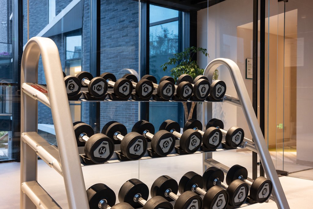 HOLIDAY INN CHONGMING DONGTAN