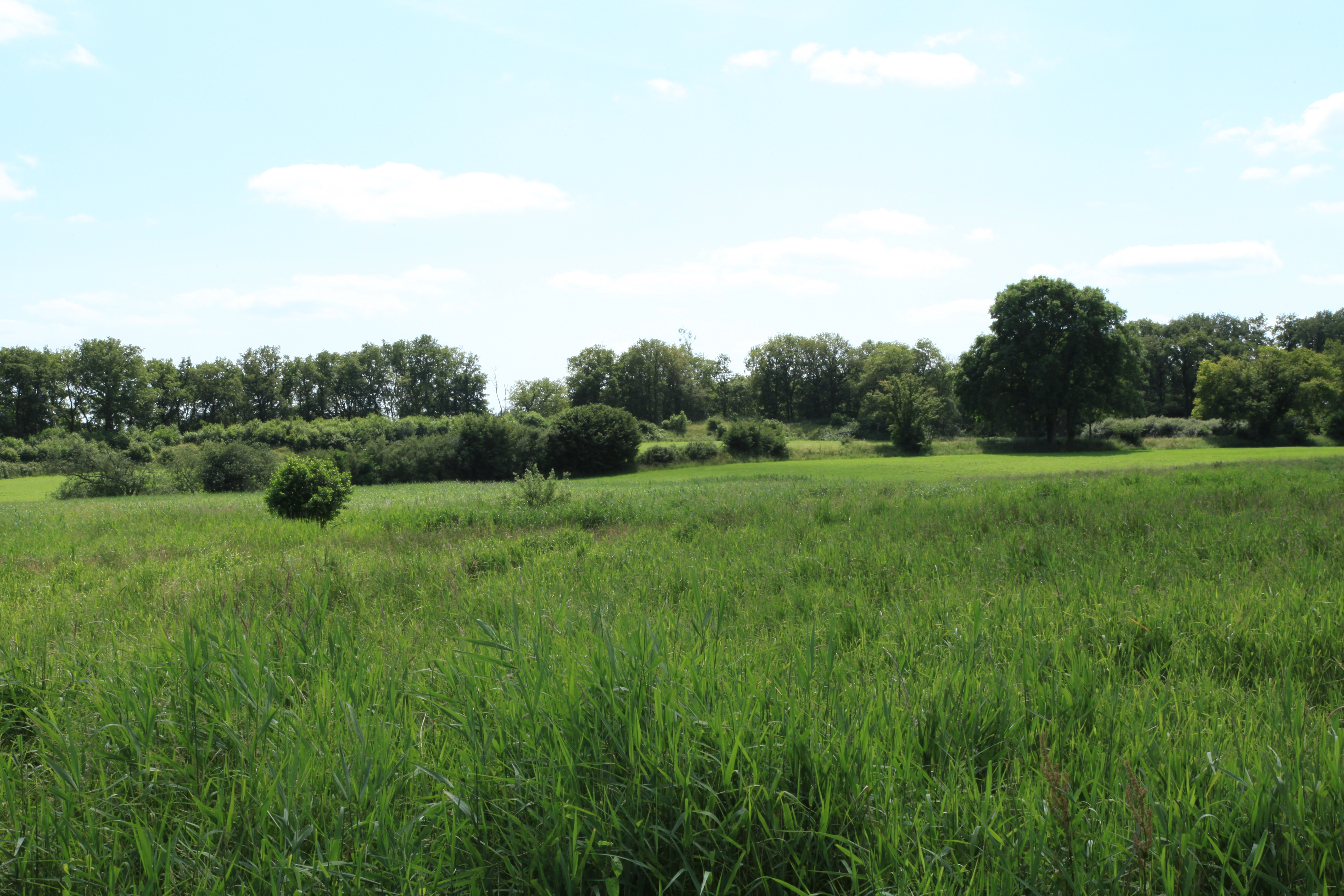 Hoteles en Busdorf