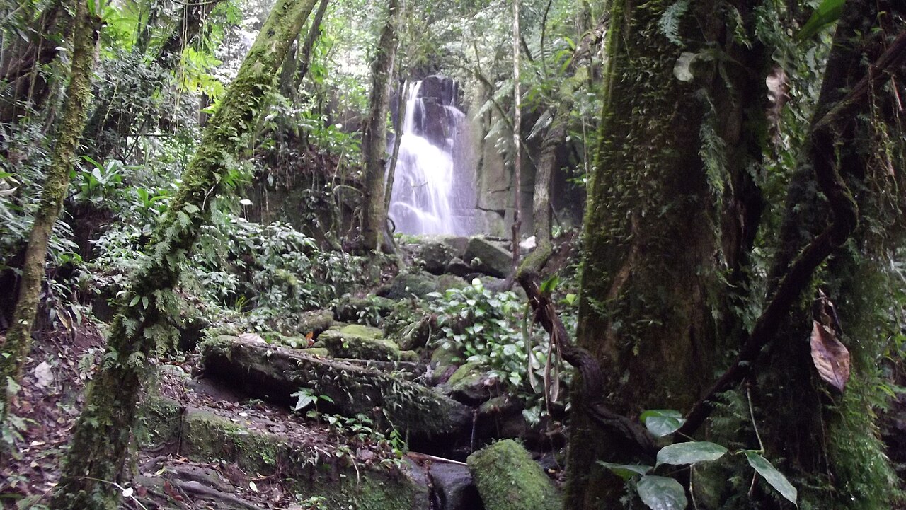 Holiday rentals Cachoeira Paulista