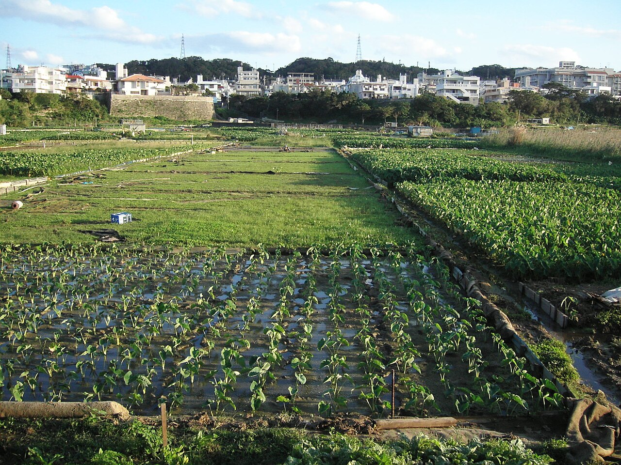 Holiday rentals Ginowan