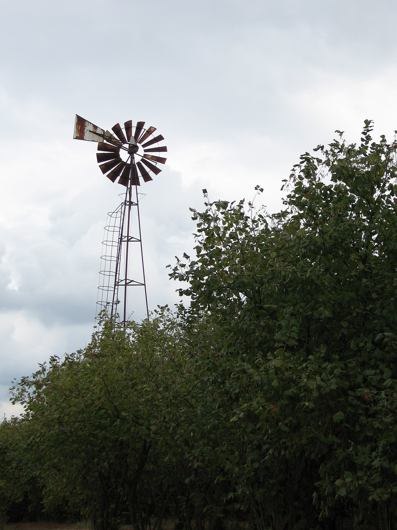 Holiday rentals Civita Castellana