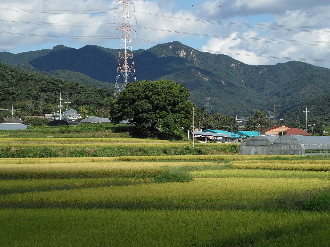 Holiday rentals Namwon