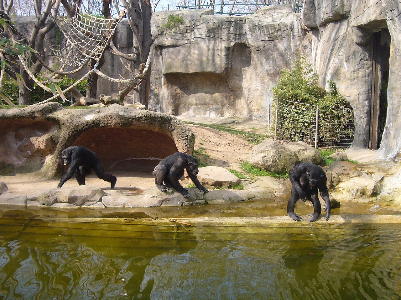 Agriturismi a Zoo di Barcellona