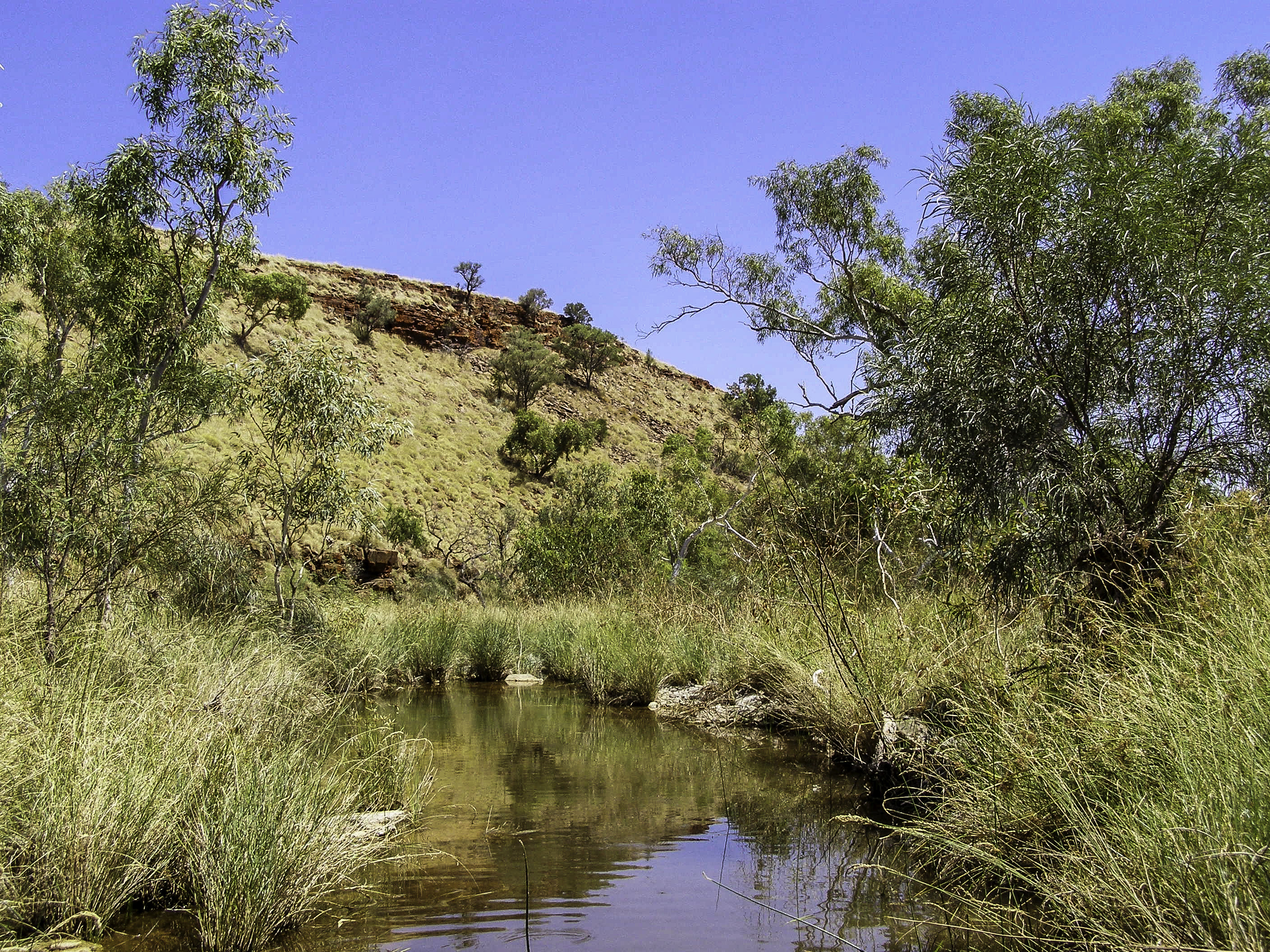 Holiday rentals Piries