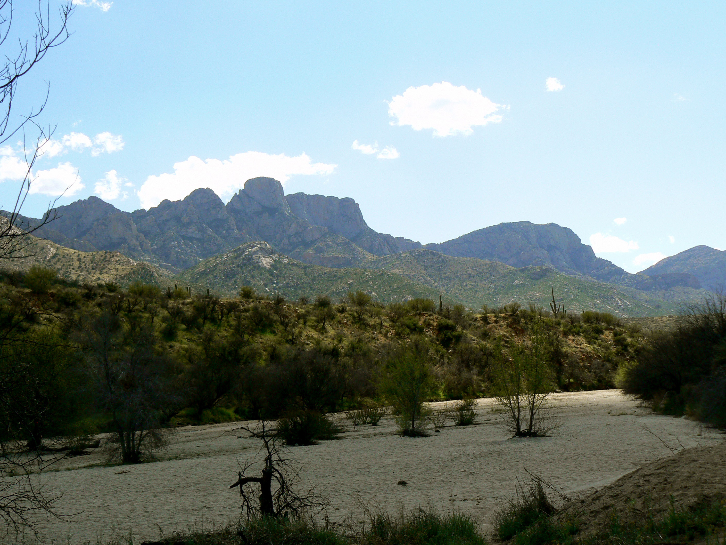Hotels in Oro Valley