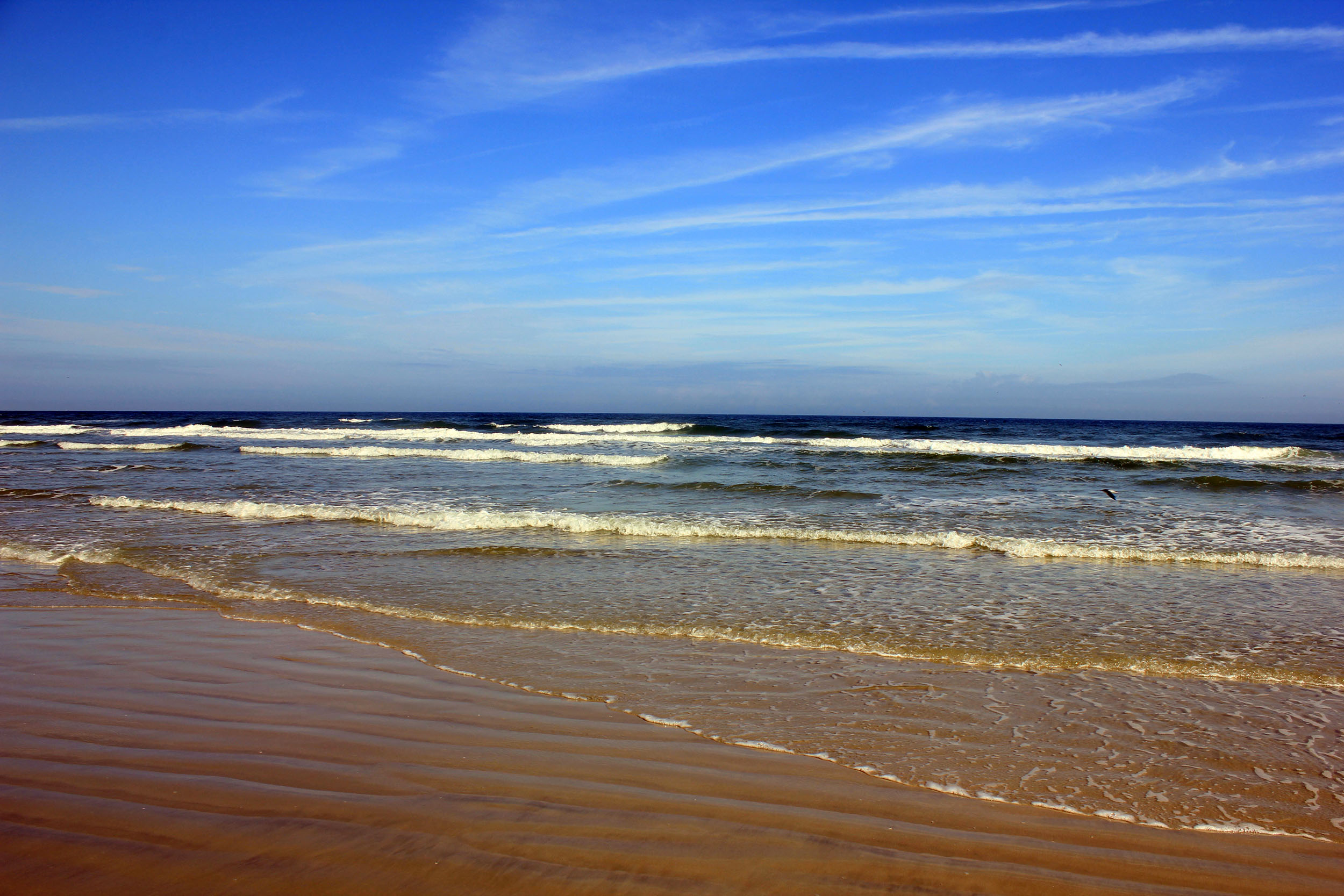 Holiday rentals Ormond-by-the-Sea